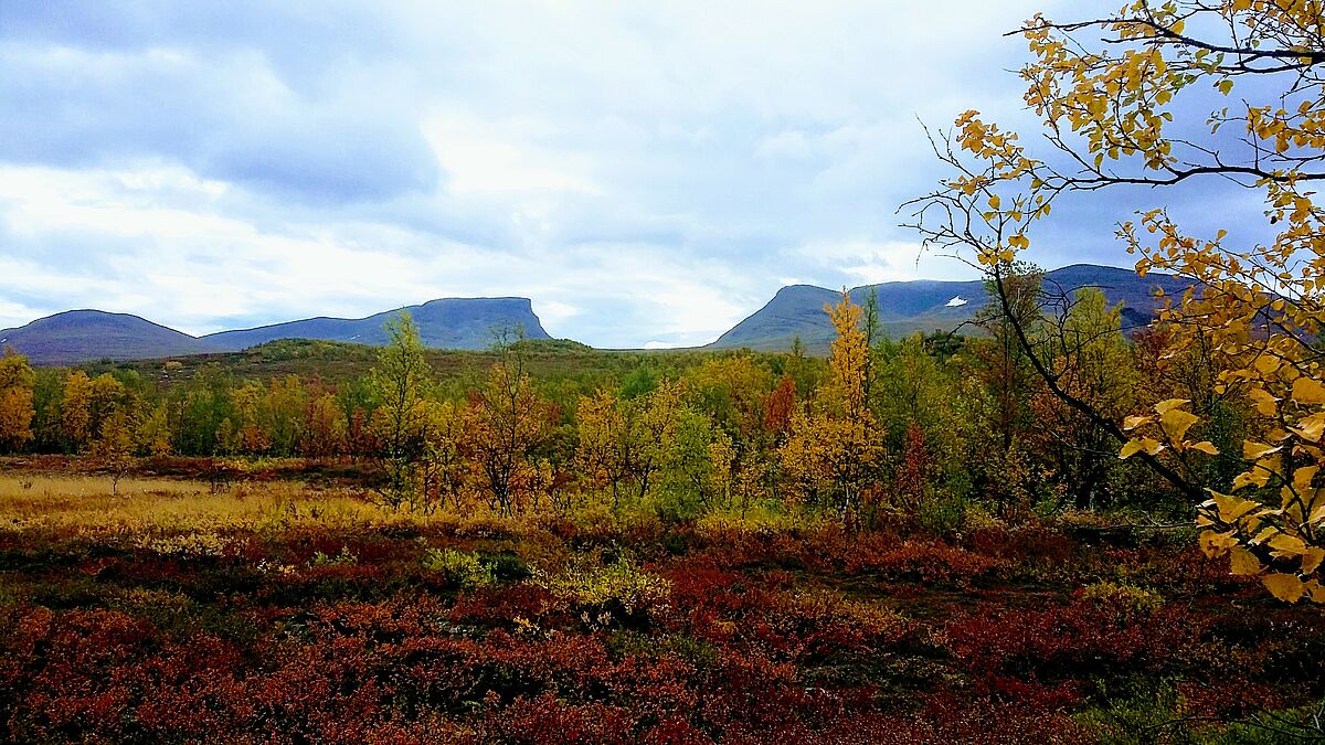 Lappland im Herbst - Foto: Elisa Jung