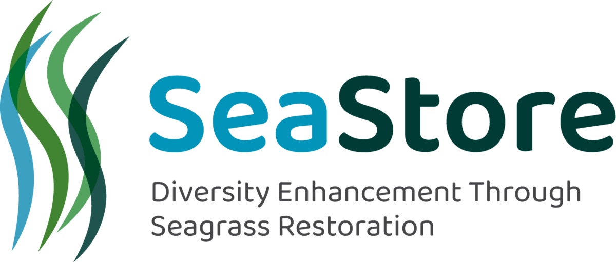Re-establishment of seagrass in the Baltic Sea