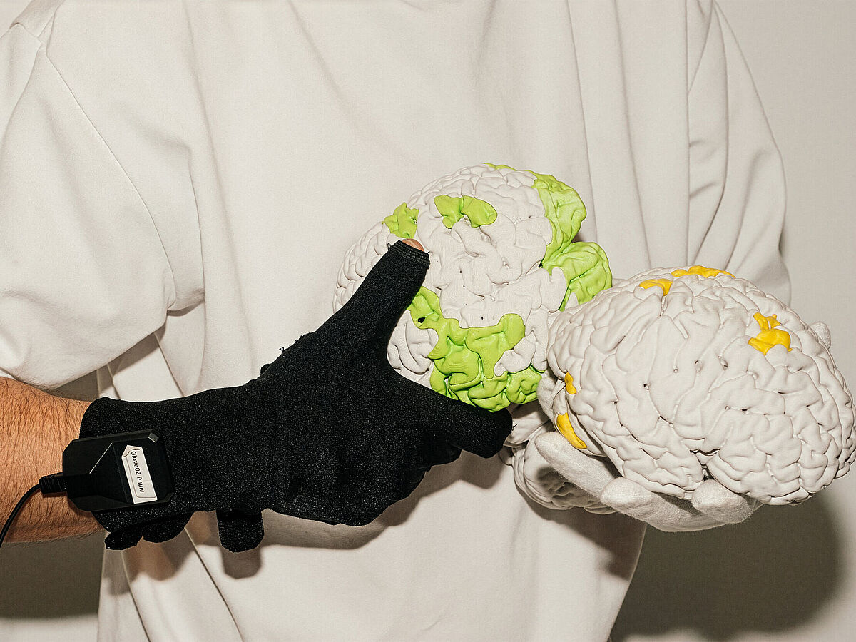 Sensorhandschuh mit 3D-Gehirndrucken Eine Person mit einem schwarzen Sensorhandschuh hält 3D-Gehirndrucke in der Hand.