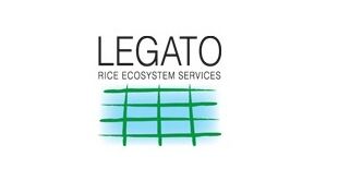 [Translate to English:] Logo Legato