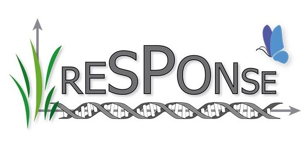 Logo Response