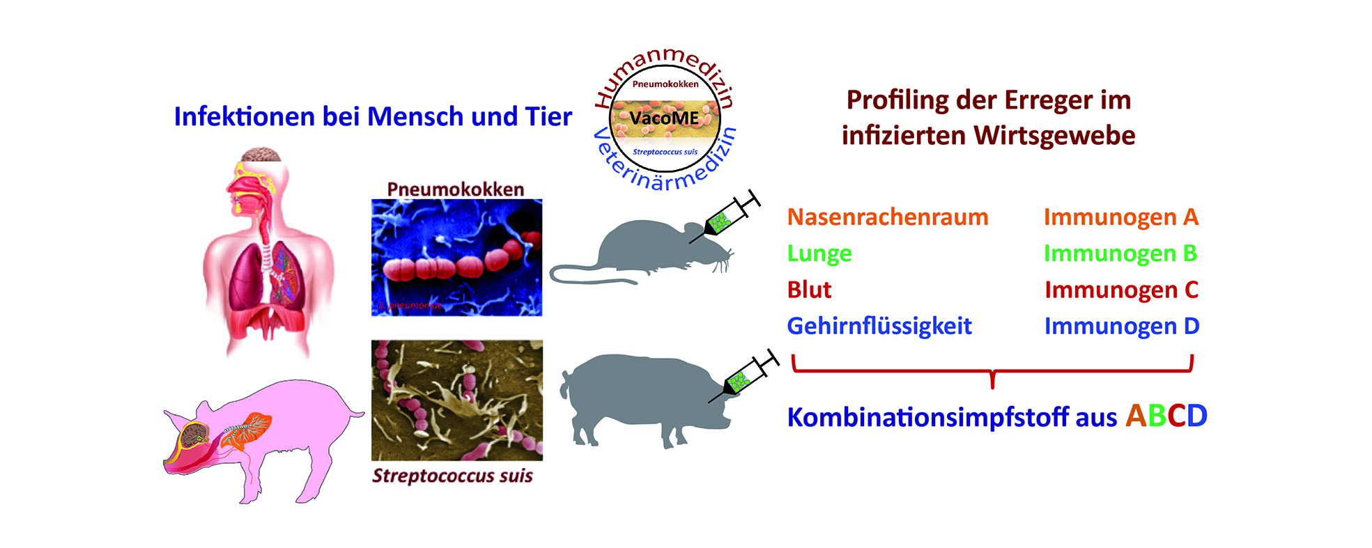 Grafik zu den Zielen des Verbundprojektes VacoME