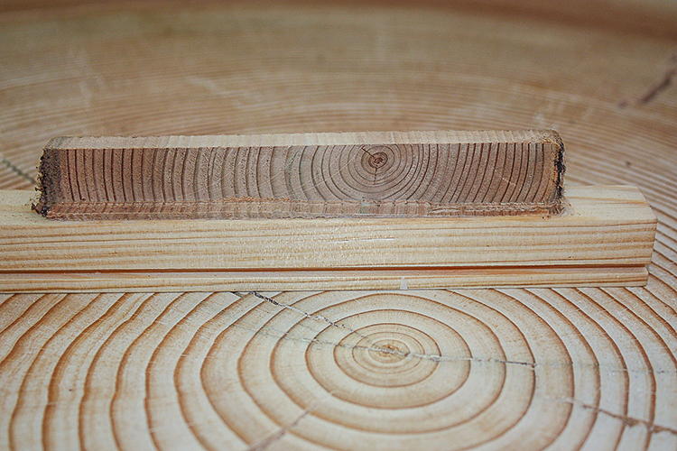 Medieval fir wood sample - photo: Tobias Scharnweber