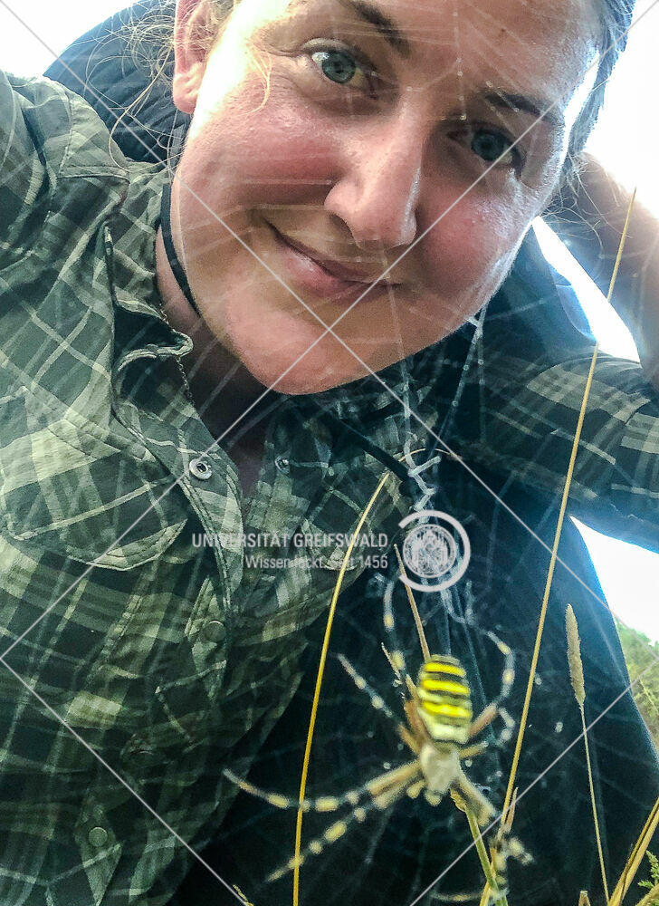 Monica Sheffer mit einer weiblichen Wespenspinne (Argiope bruennichi) während der Feldarbeit in Portugal. – Foto: Monica M. Sheffer Monica Sheffer mit einer weiblichen Wespenspinne (Argiope bruennichi) während der Feldarbeit in Portugal. – Foto: Monica M. Sheffer
