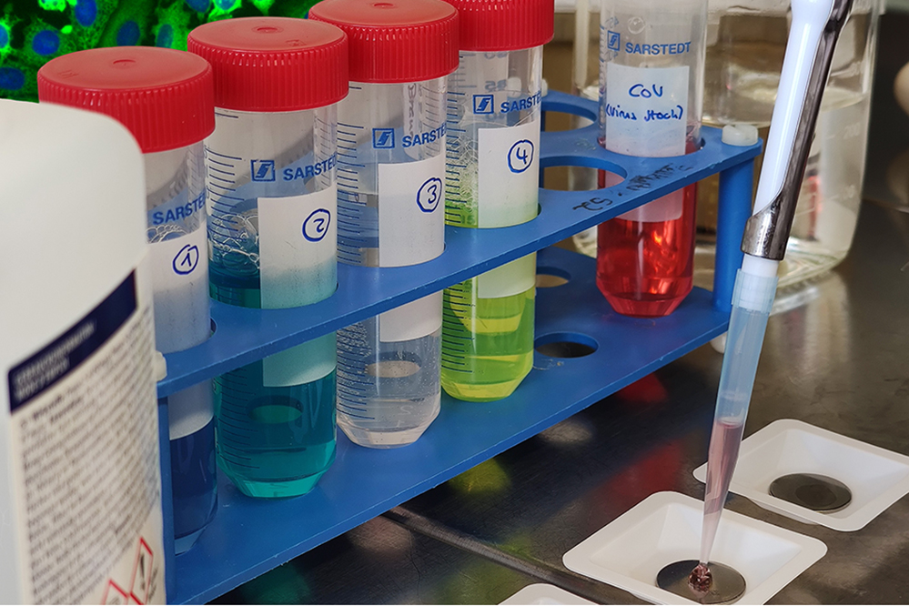 Viruses are dried on steel plates and then treated. in order to test which surface disinfection works how well against corona viruses, Photo: Toni Luise Meister and Stephanie Pfänder