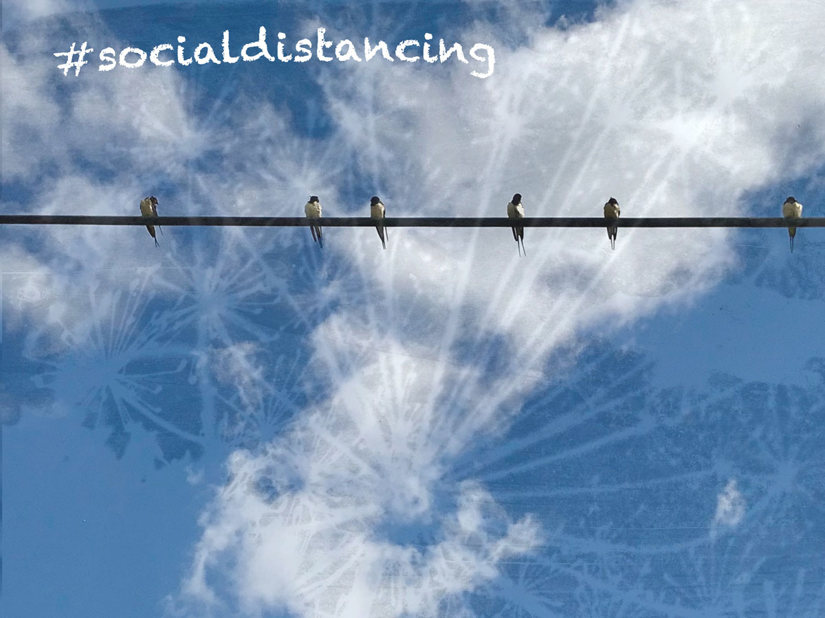 Teaser der psychologischen Hilfsprojekte der Universität Greifswald: SocialDistancing – Foto und Bearbeitung: Dr. Janine Wirkner Teaser der psychologischen Hilfsprojekte der Universität Greifswald: SocialDistancing – Foto und Bearbeitung: Dr. Janine Wirkner