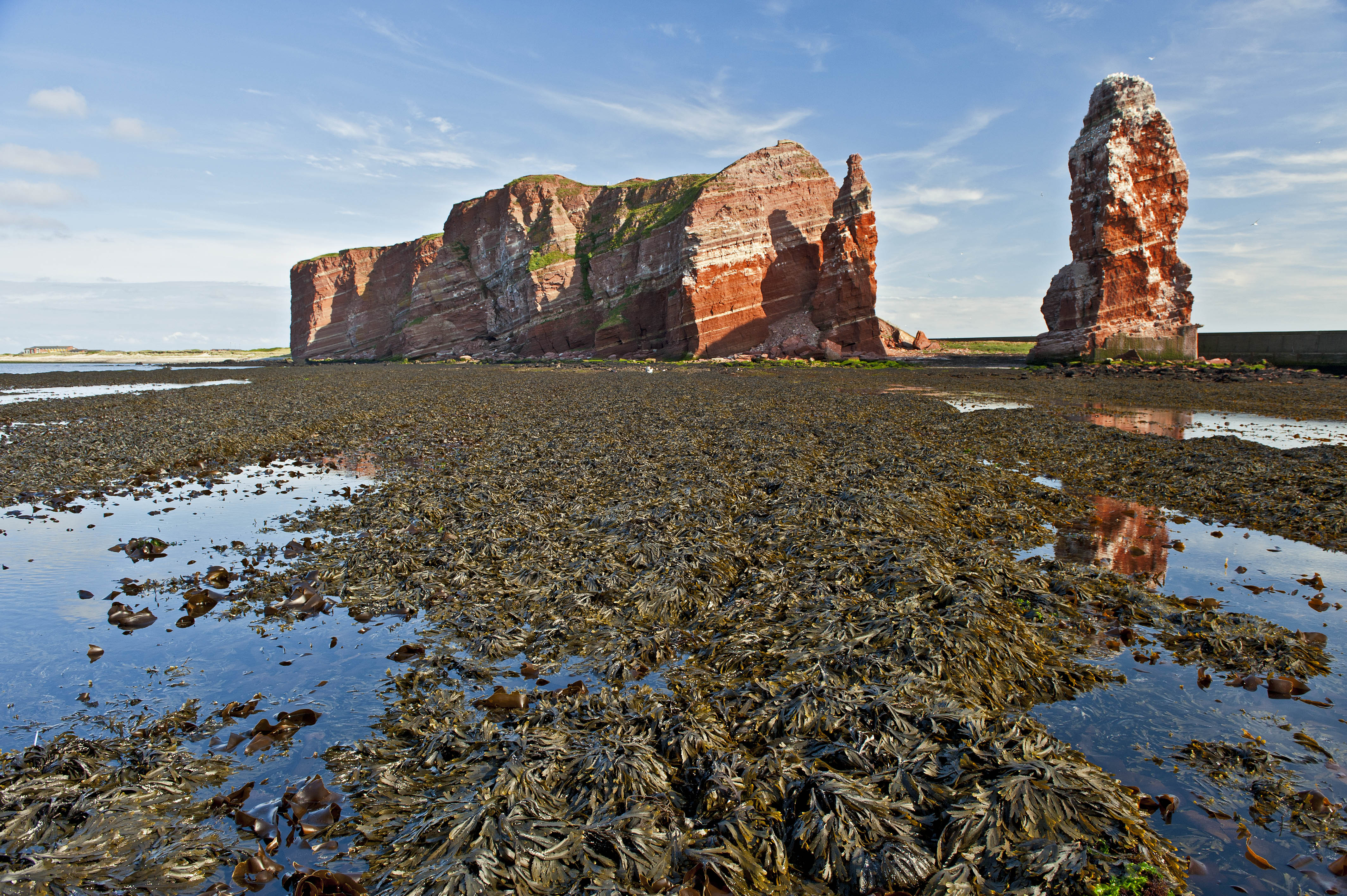 Helgoland – Photo: Alfred Wegener Institute / Uwe Nettelmann