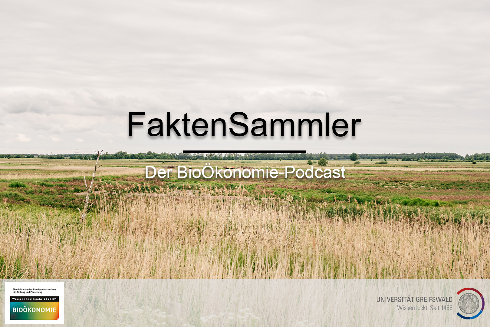 Symbolbild zum Podcast „FaktenSammler“ der Universität Greifswald – Foto: ©Ole_Kracht