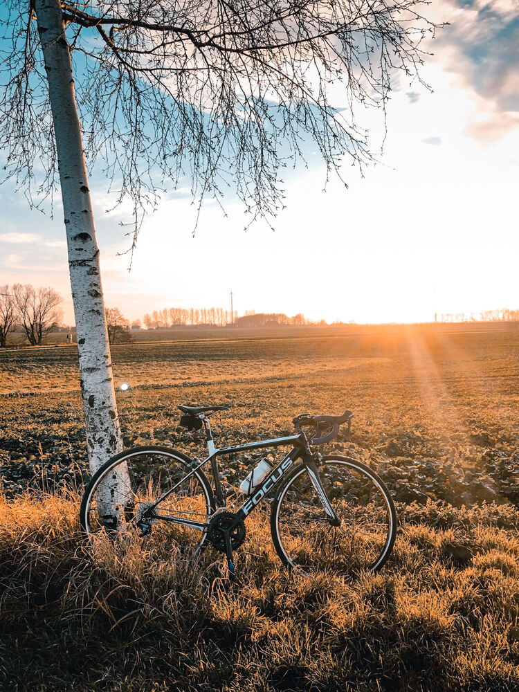 Das Gewinner*innenfoto von Laura Schirrmeister -  Laura_Schirrmeister 