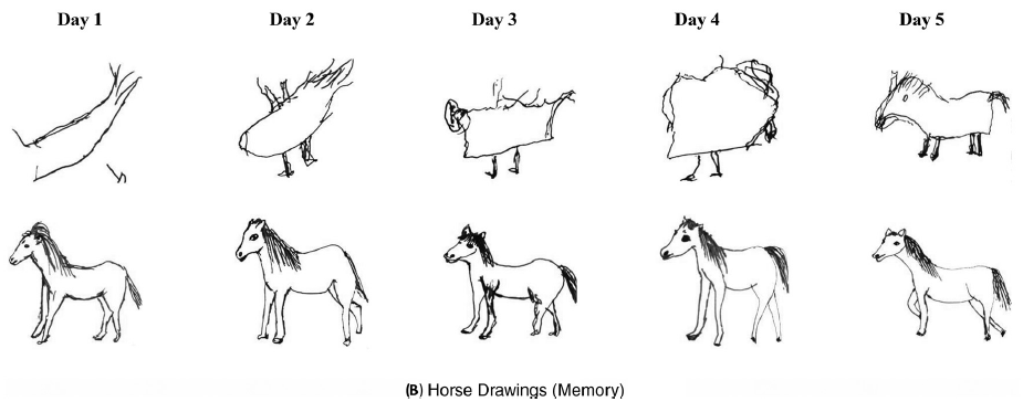 Menschen mit Alzheimer-Demenz: Pferd zeichnen © American Psychological Association (APA)