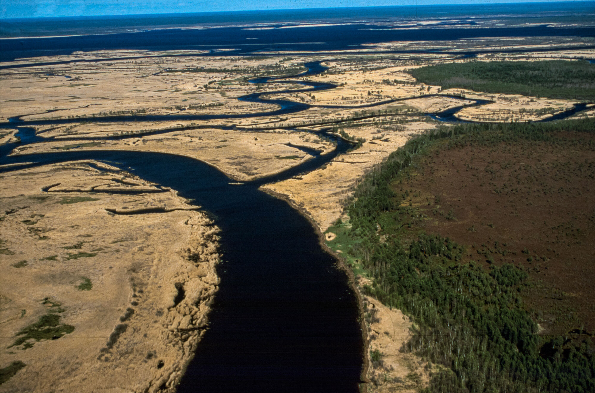 Hochmoor in der Region Archangelsk - © Michael Succow