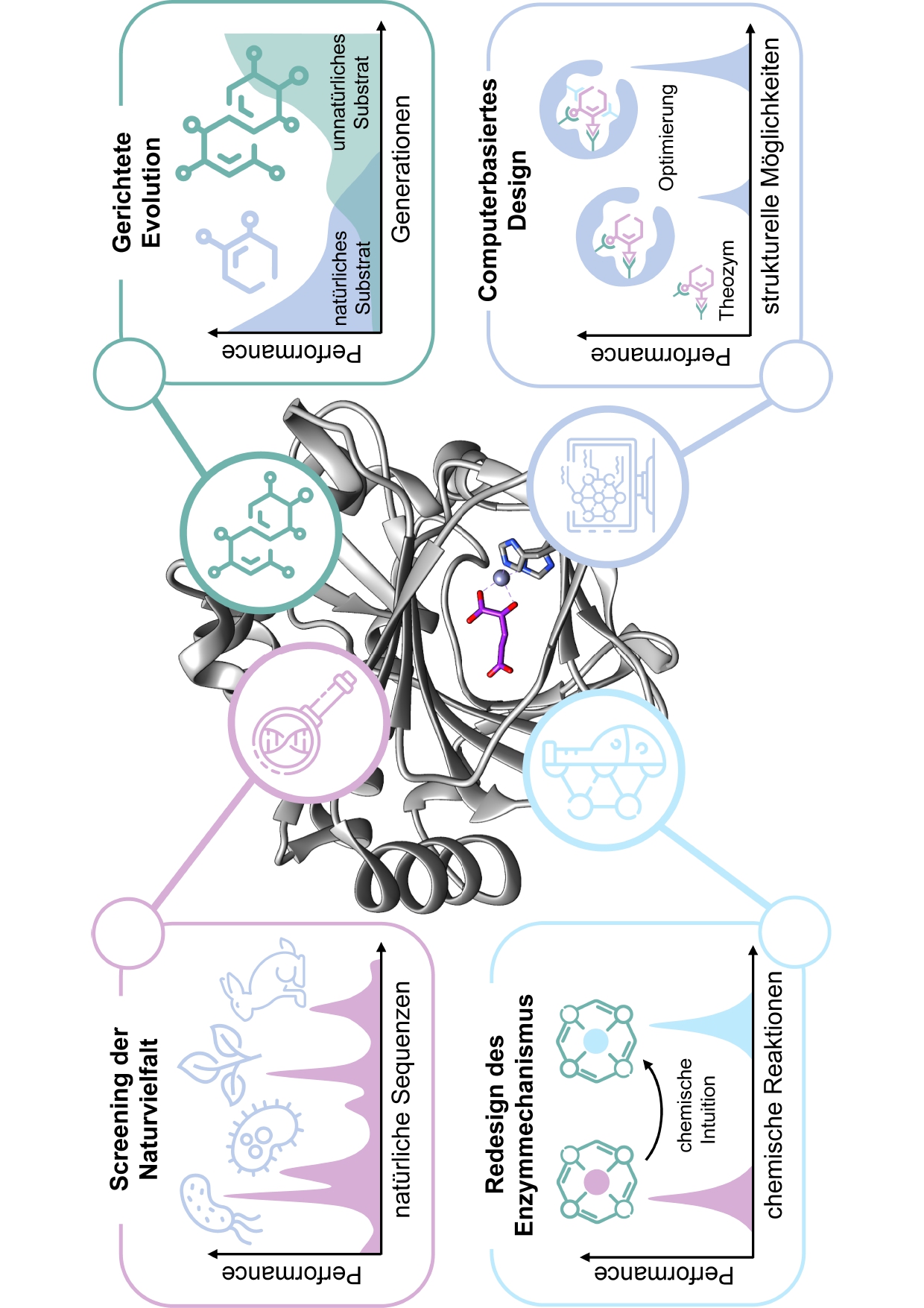 From nature to industry: Harnessing enzymes for biocatalysis