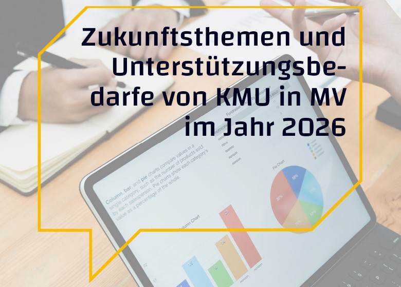 Zukunftszentrum MV Grafik Zukunftszentrum MV