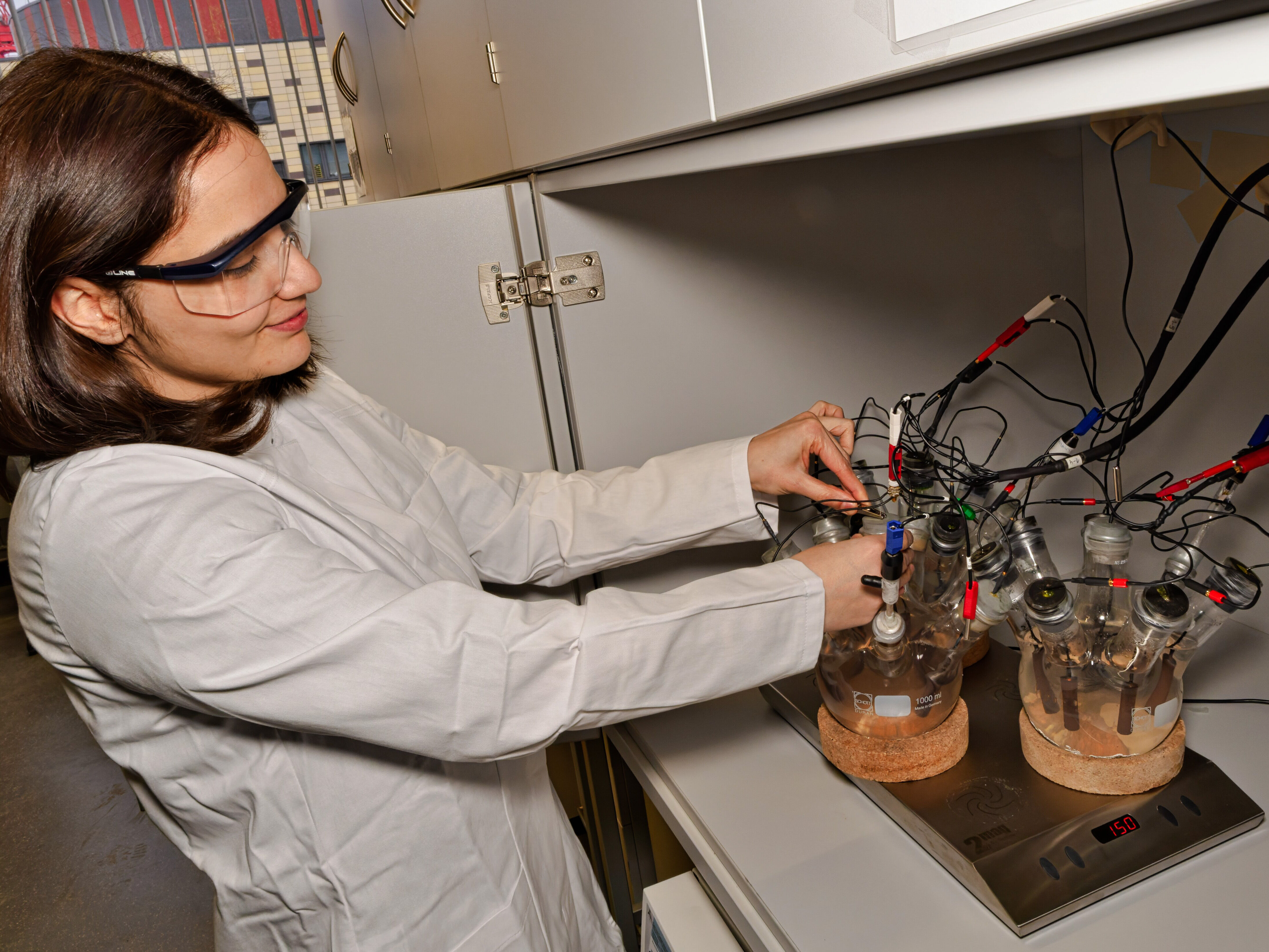 Grundlagenforschung an elektrochemisch aktiven Mikroorganismen in Greifswald.