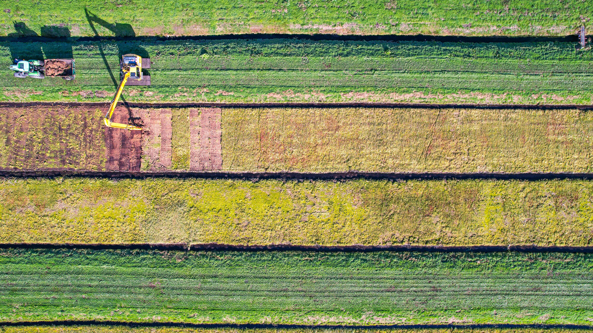 Torfmoosanbau / Paludikultur-Ernte Blick von oben: Torfmoosanbau / Paludikultur-Ernte