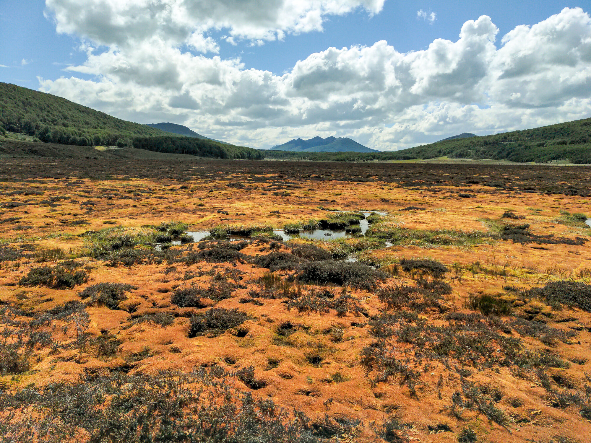Moorlandschaft in Feuerland (Bright Spot Turba Tol) Moorlandschaft in Feuerland (Bright Spot Turba Tol)