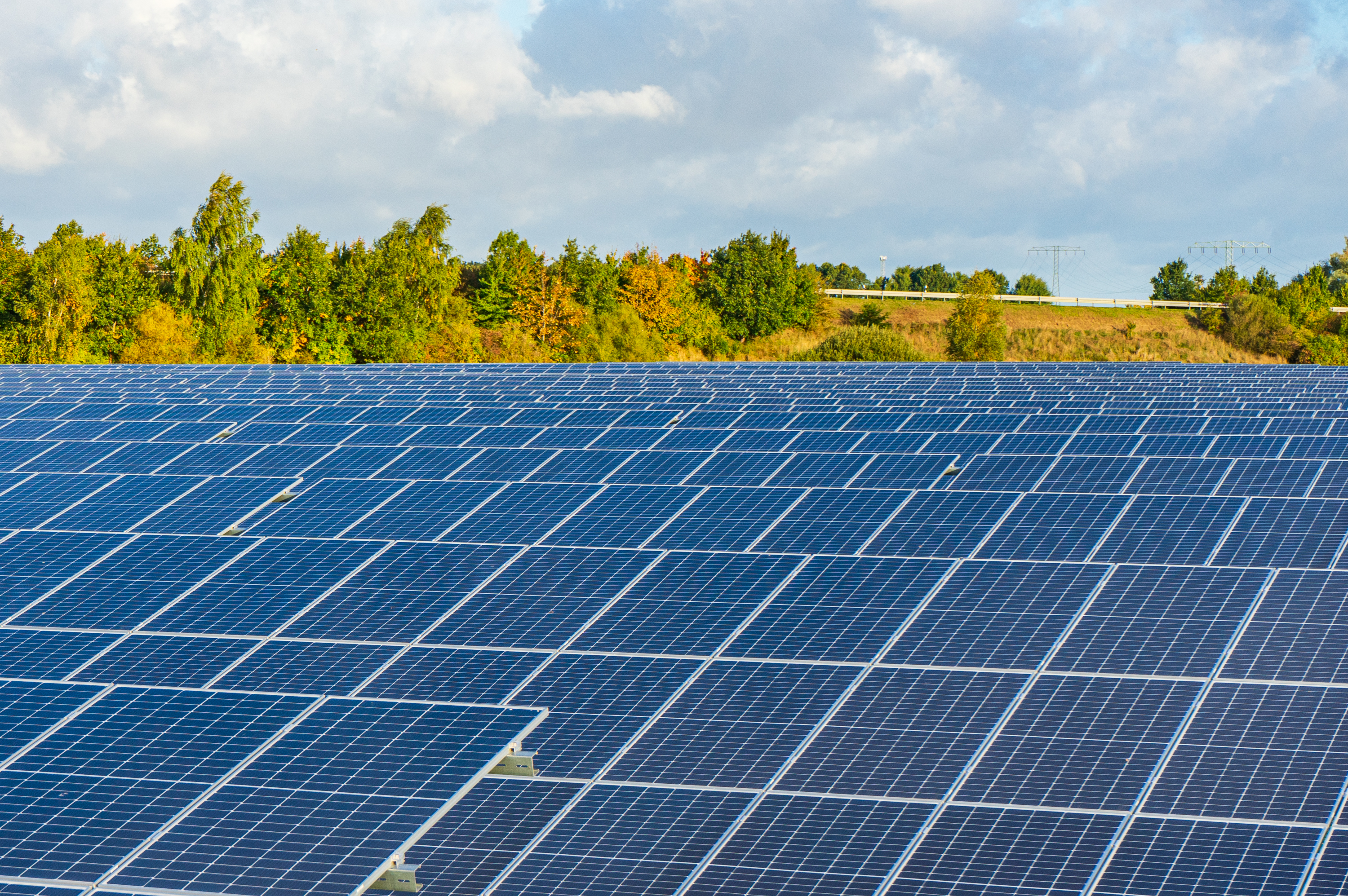 A field with several rows of blue solar panels surrounded by autumnal trees in a rural setting.mgeben von herbstlich gefärbten Bäumen in einer ländlichen Umgebung.