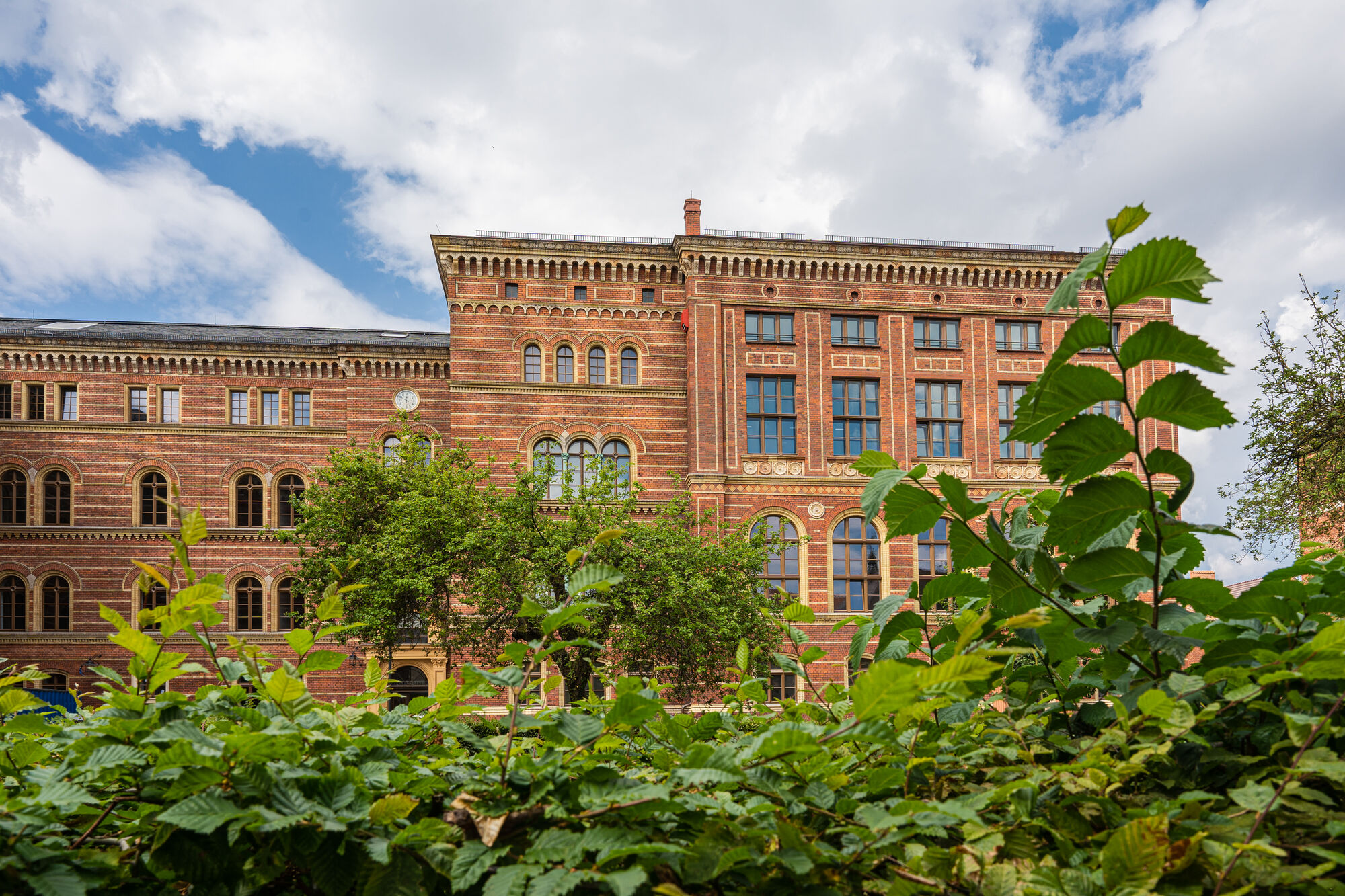 Rechts- und Staatswissenschaftliche Fakultät Außenansicht des Gebäudes der Rechts- und Staatswissenschaftlichen Fakultät am Campus Loefflerstraße