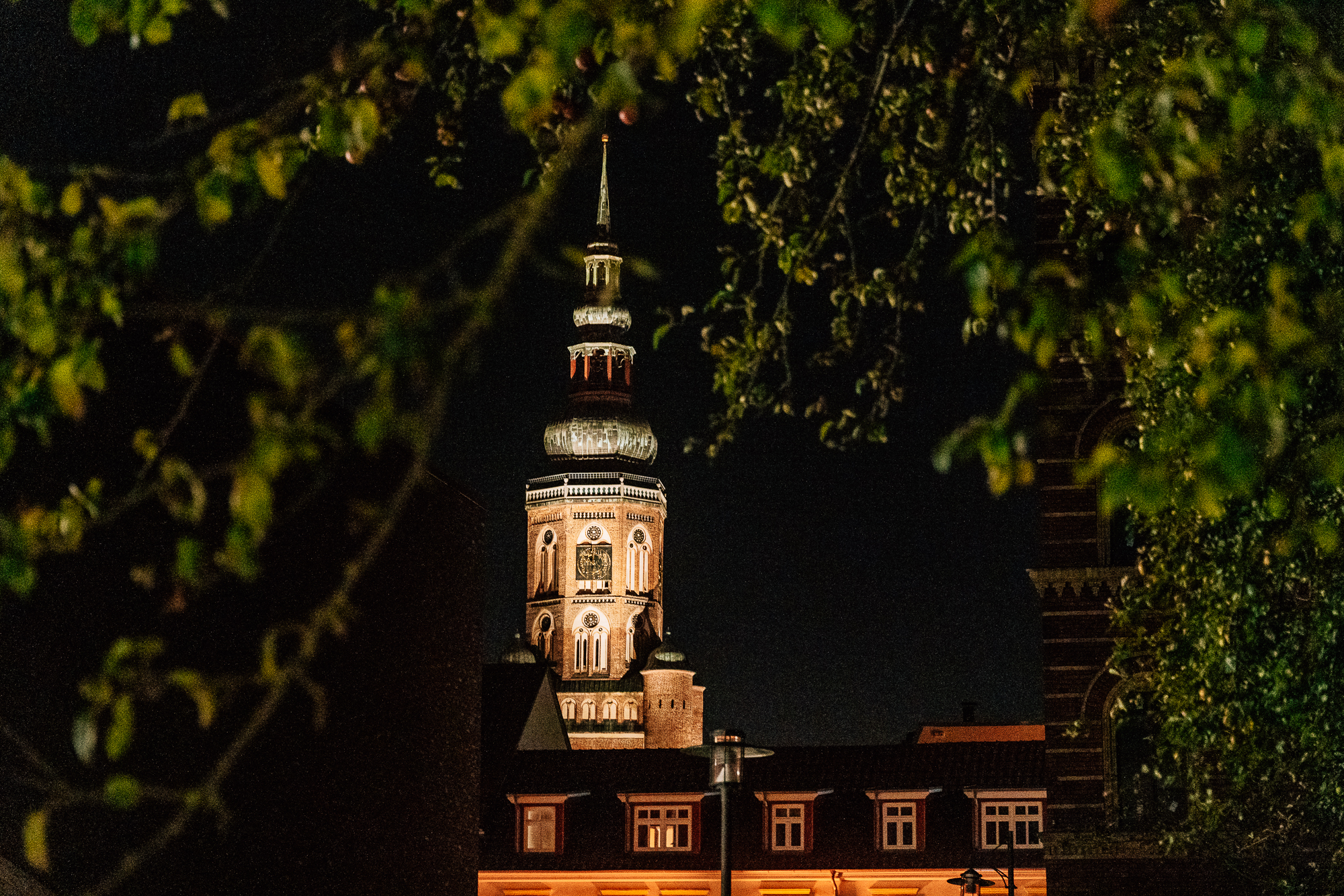 Nächtlicher Blick auf den Turm des Doms St. Nikolai.
