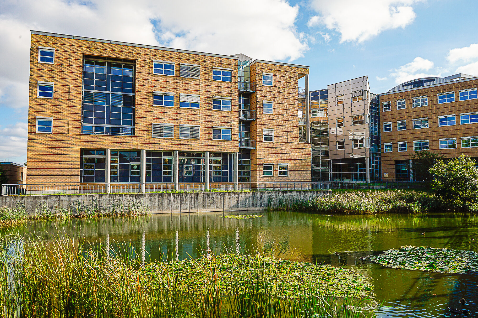 View of the pond on the Berthold-Beitz-Platz Campus, next to University Medicine