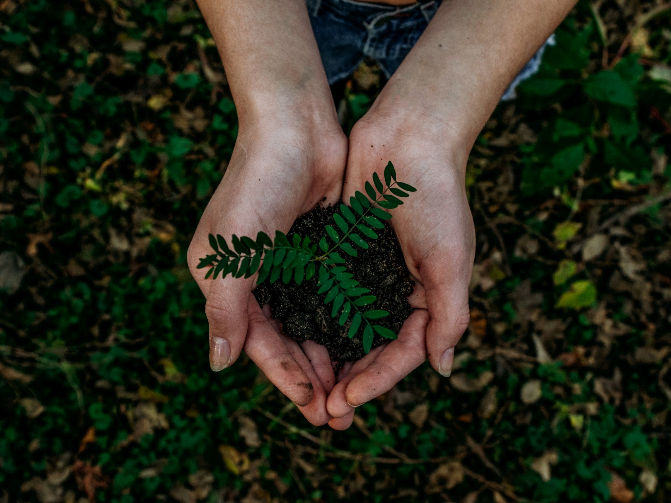 Symbolfoto, © unsplash.com