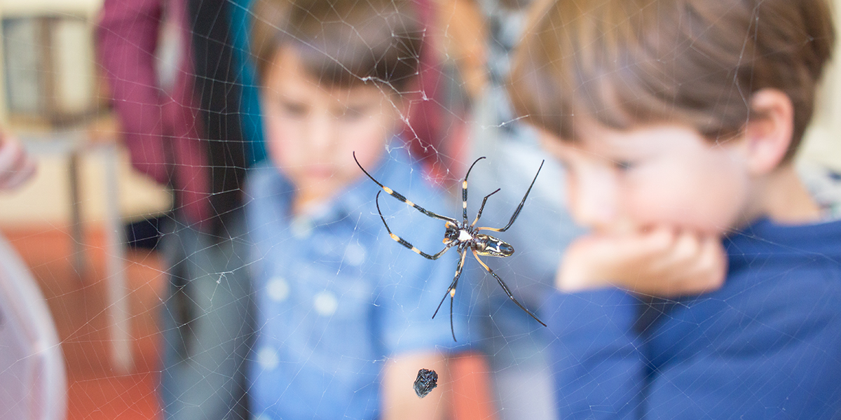 Kinder forschen am Tag der Wissenschaft