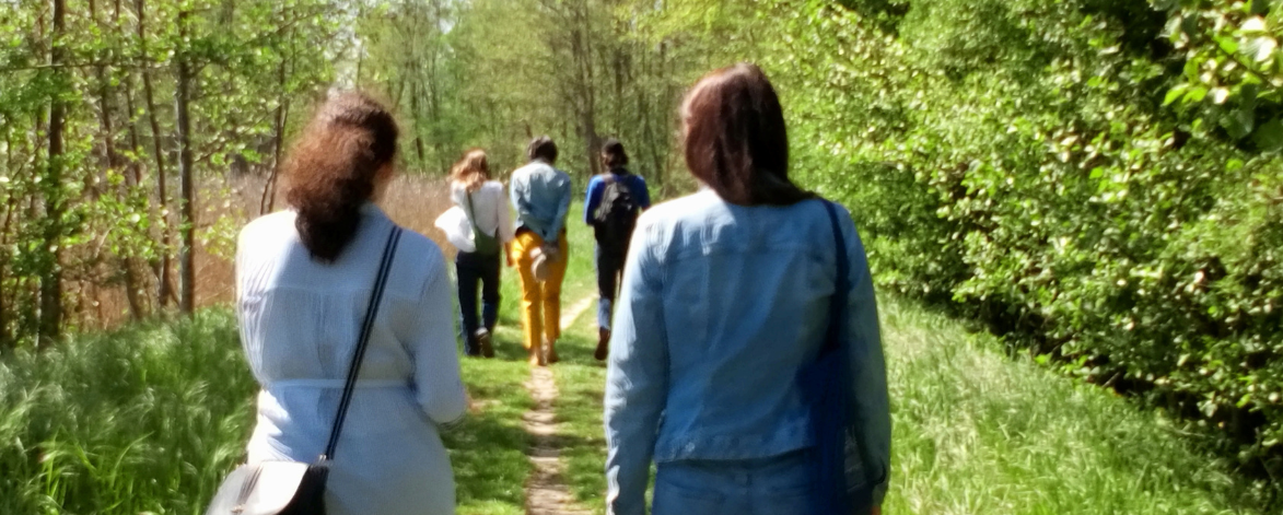 Foto vom Spaziergang; im Vordergrund sieht man zwei Frauen von hinten, im Hintergrund drei Frauen von hinten