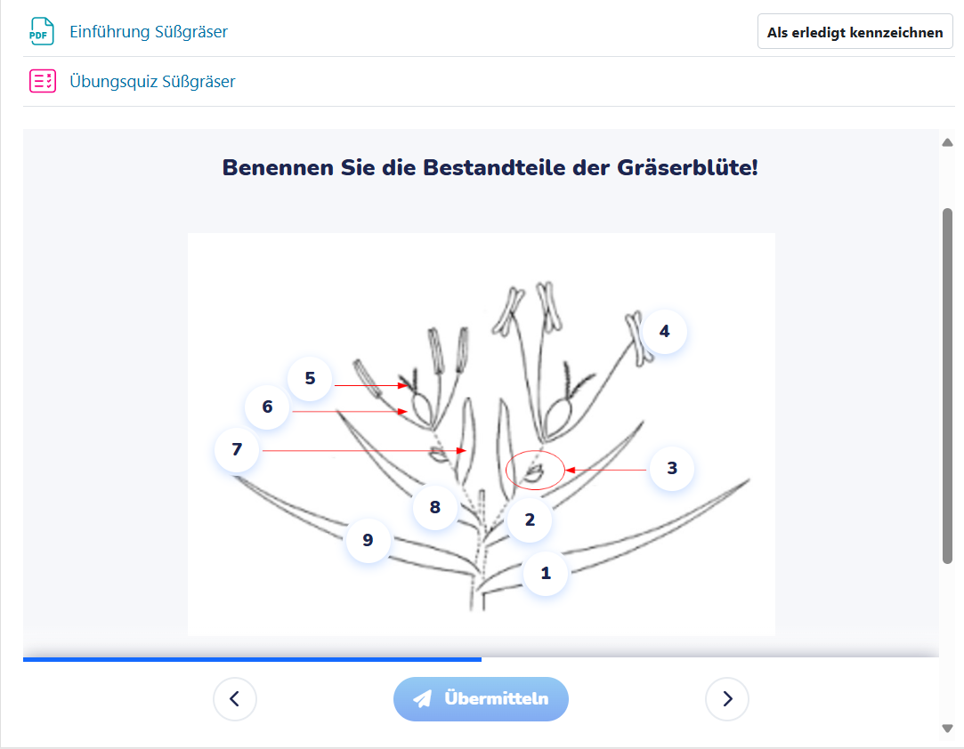 Übungsquiz innerhalb der Vorlesung 