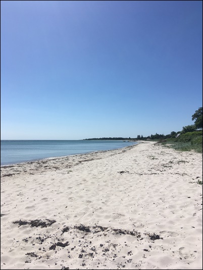 Spaziergang am Meer - Foto: Janina Jechorek