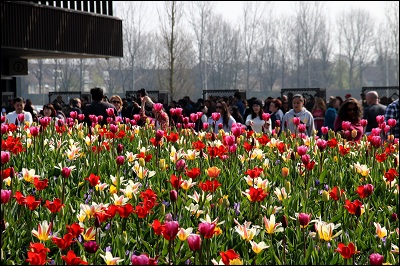 Keukenhof übervoll - Foto: Jennifer Schulz