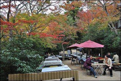 Momiji Herbst in Japan - Foto: Sarah Thiele