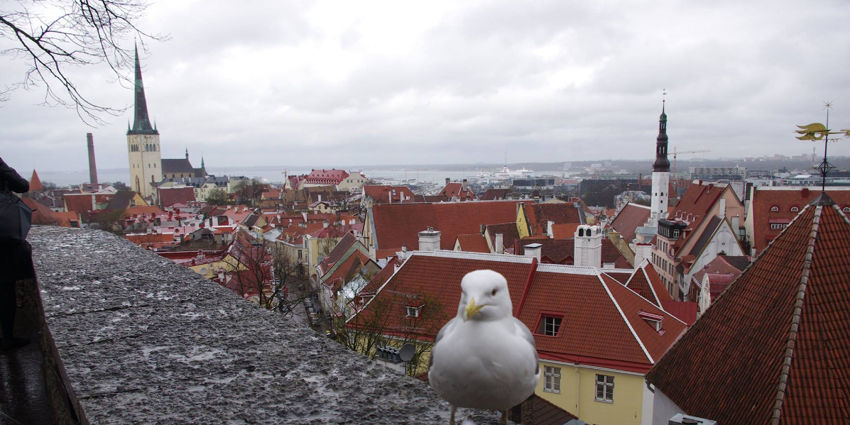 M.A. History and Culture of the Baltic Sea Region