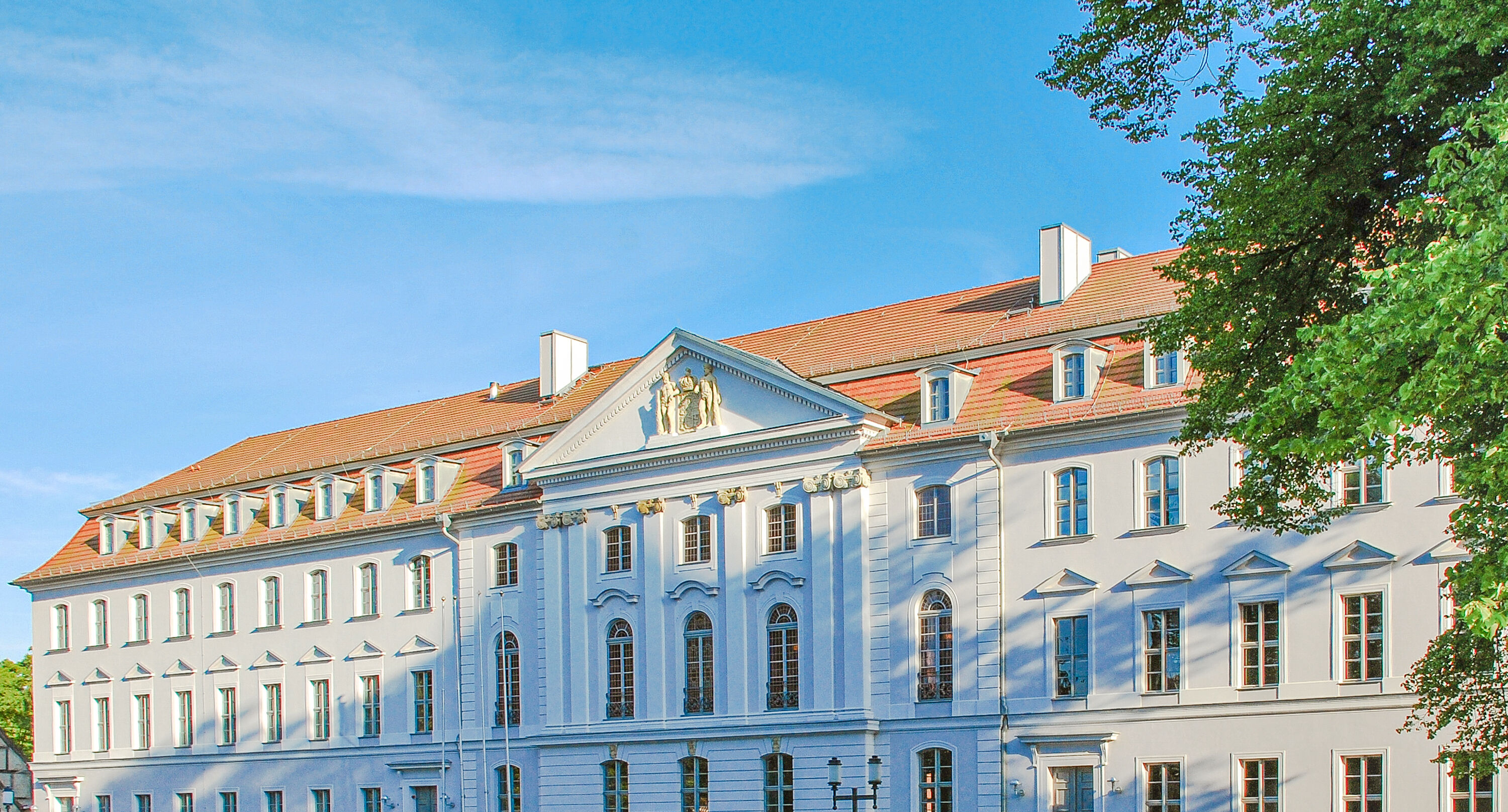 Außenansicht des Universitätshauptgebäudes. Sommerliches Grün eines Baumes zur Linken vor blauem Himmel.