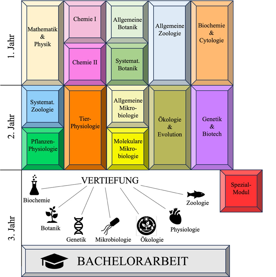 Modulübersicht Biologie B.Sc. Es handelt sich um eine Darstellung der Module, die in Biologie Bachelor of Science, studiert werden.