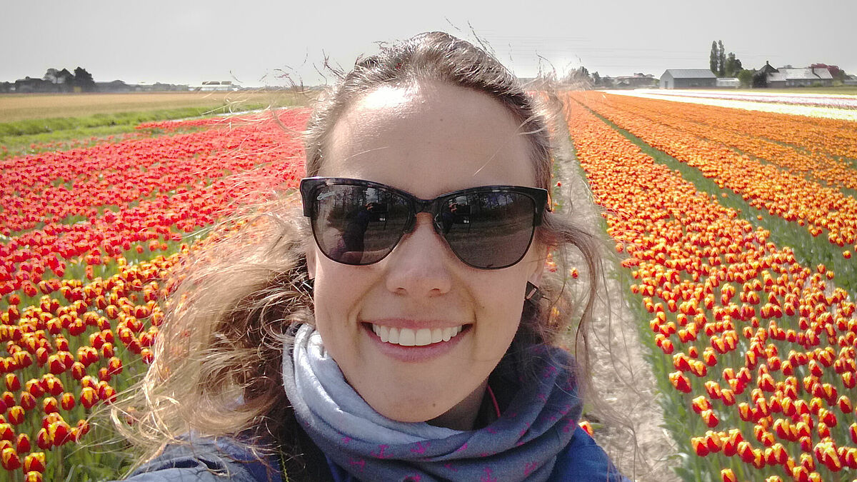 Blumenfelder in den Niederlanden