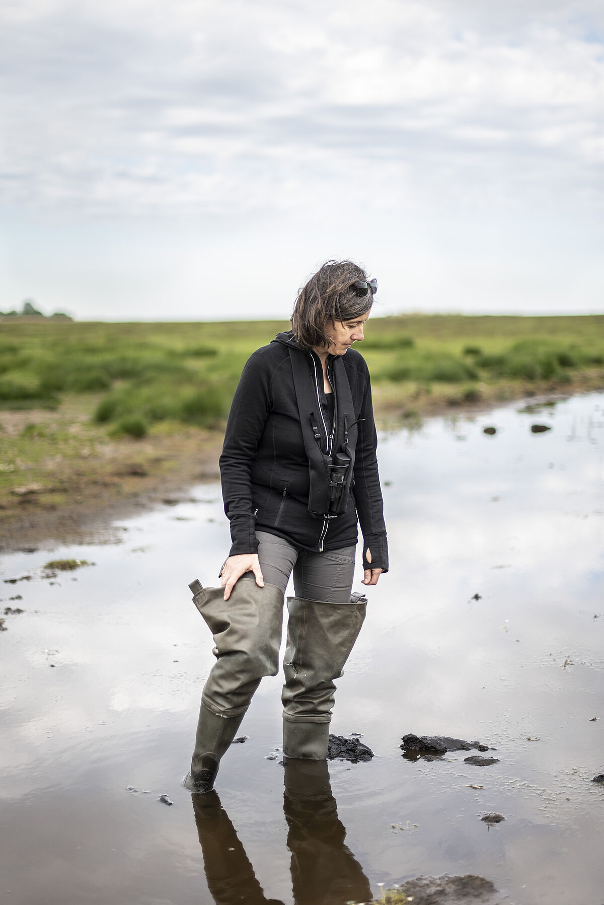 Dr. Franziska Tanneberger - Naturschutzgebiet Insel Koos, Kooser See und Wampener Riff