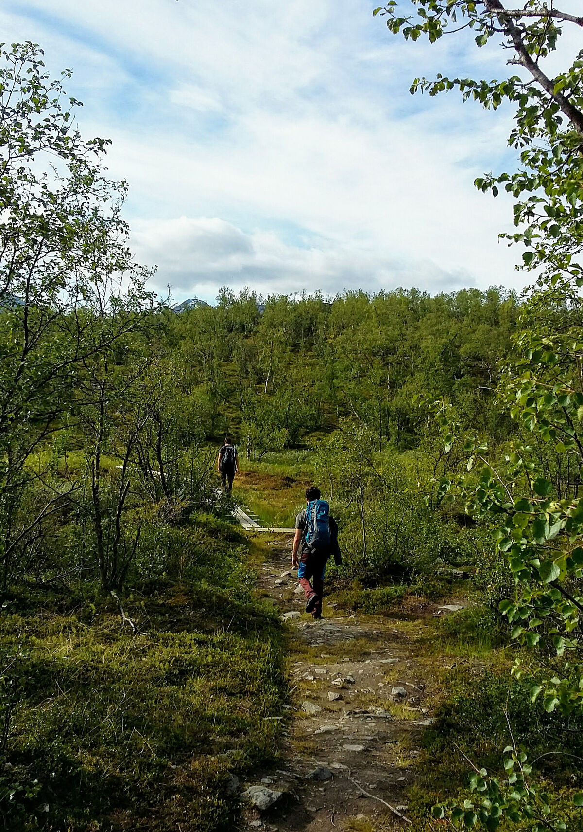 Morgendliche Wanderung zum Feldexperiment - Foto: Elisa Jung