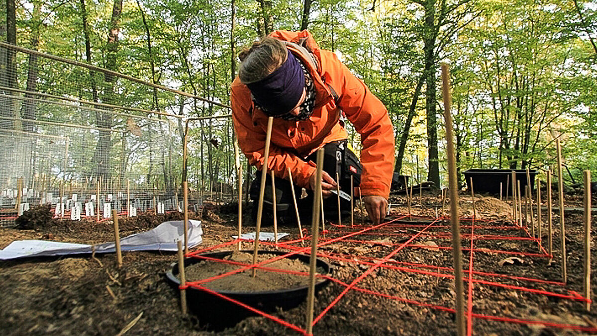 Forschungsprojekt: Jürgen Kreyling