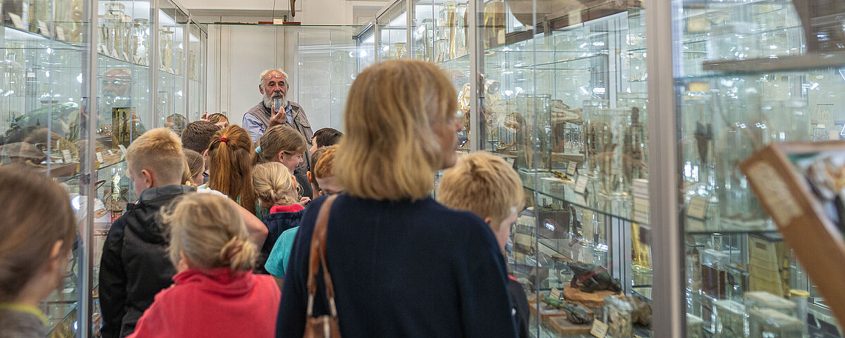 Zoologische Sammlung Zoologische Sammlung