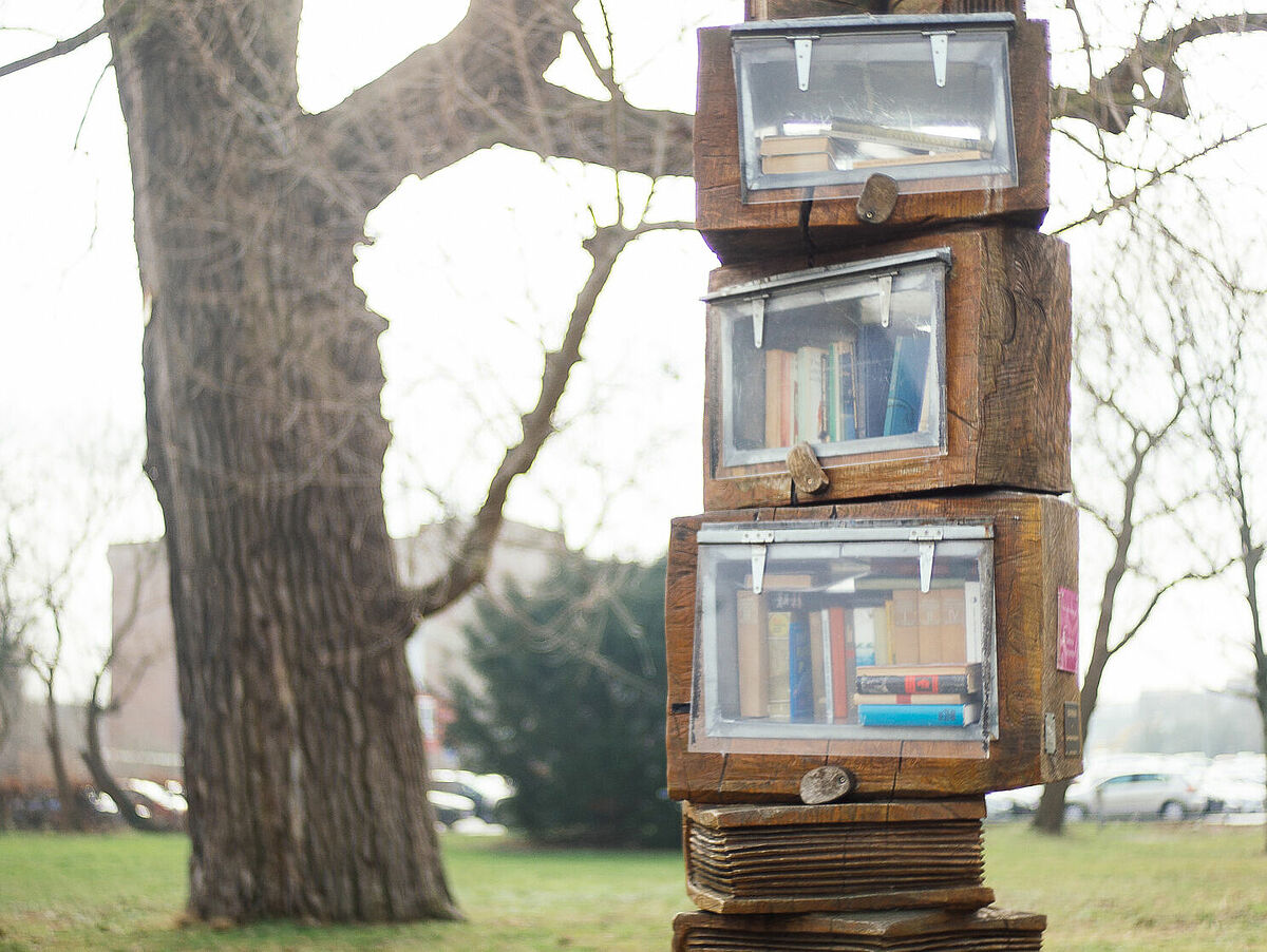Der Bücherbaum an der Europakreuzung als ein Beispiel für ein nachhaltiges Angebot in Greifswald– Foto: Till Junker