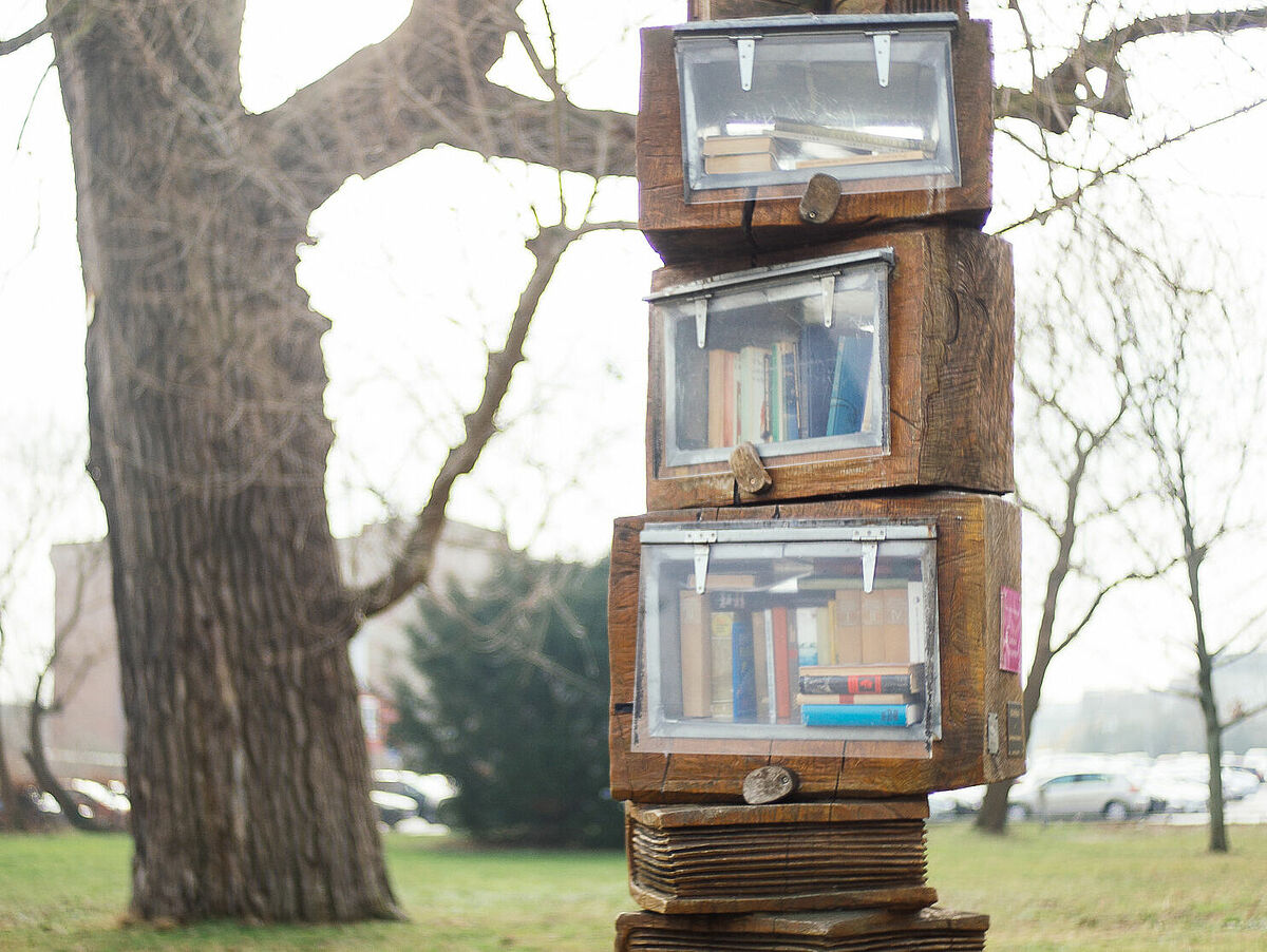 Der Bücherbaum an der Europakreuzung als ein Beispiel für ein nachhaltiges Angebot in Greifswald– Foto: Till Junker