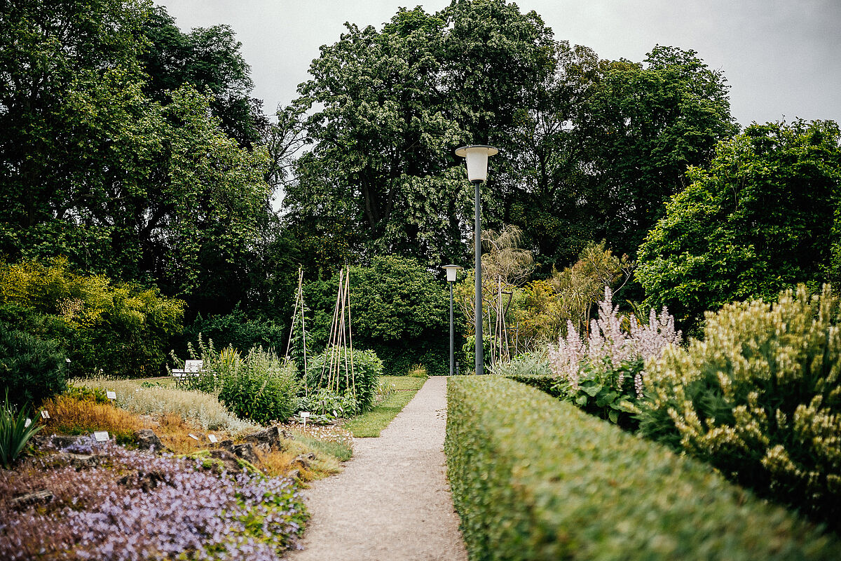 Freilandgelände des Botanischen Gartens - Foto: Till Junker