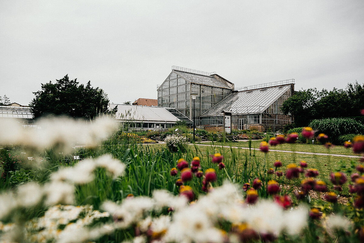 Gewächshäuser des Botanischen Gartens - Foto: Till Junker