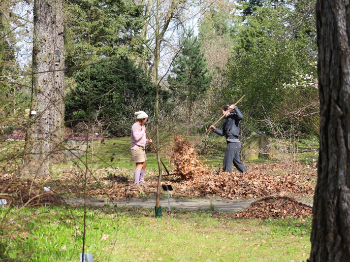 Arbeitseinsatz im Arboretum, © Botanischer Garten