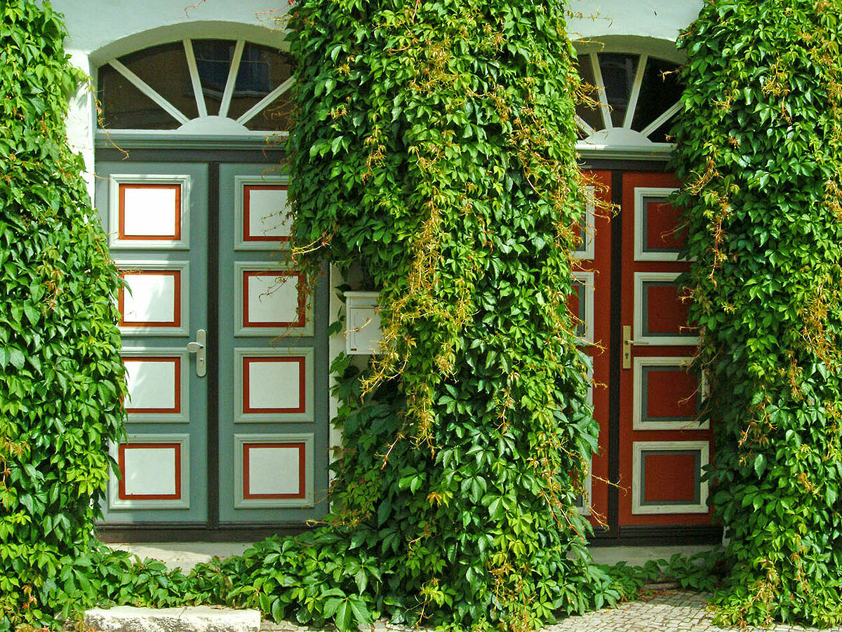 Front doors in Greifswald