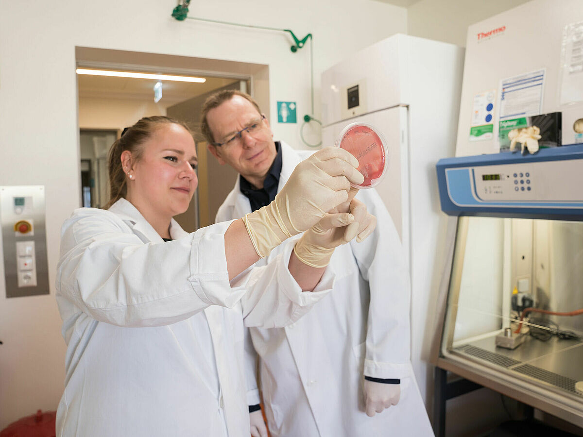 Degree course Infection Biology © Laura Schirrmeister, 2022