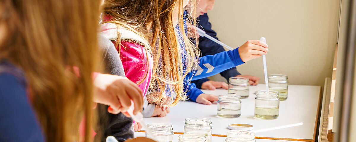Vorlesung: Urzeitkrebs und Wasserfloh bei der Kinder- und JugendUNI Kinder schauen sich Gläser mit winzigen Tieren und Flüssigkeit an und experimientieren mit Pipetten.