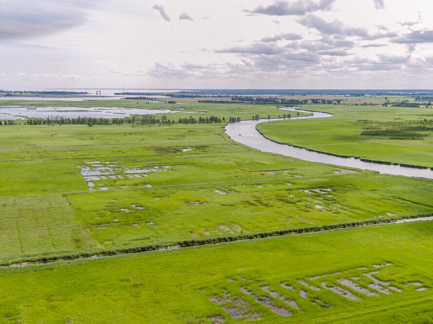 Rewetted peatlands in the Peene Valley* ©Stephan-Busse