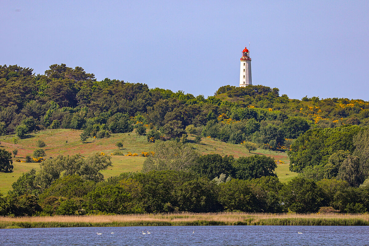 Station Hiddensee In einer hügeligen Sommerlandschaft steht bei Sonnenschein ein Leuchtturm. Im Vordergrund ist das Meer, auf dem ein paar Möwen schwimmen.