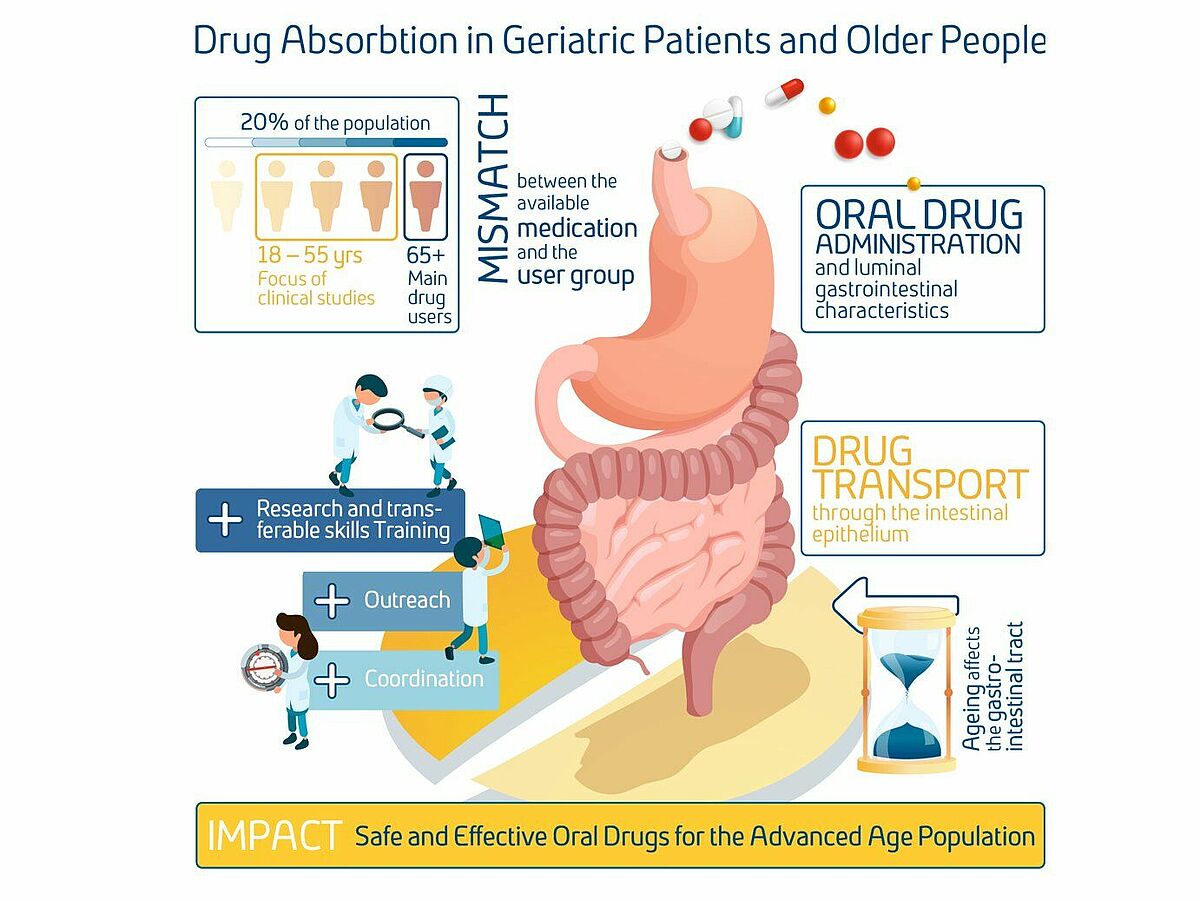 Projekt AGePOP (Drug Absorption in Geriatric Patients and Older People) – ©accelopment Schweiz AG 2020